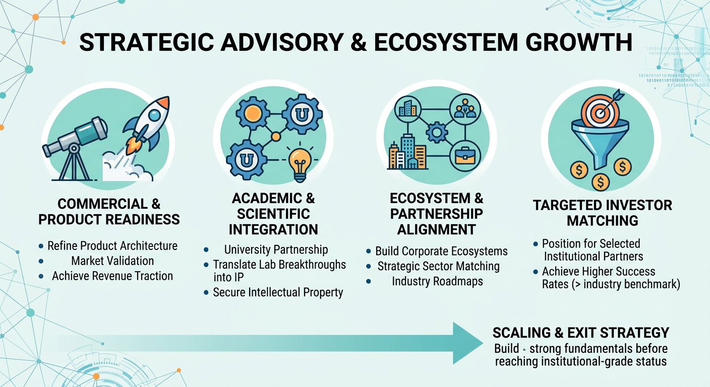 Strategic Advisory Beyond Traditional Venture Capital for Scale-Ups and Research Spin-Outs Indonesia